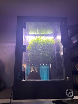 Reptile Tank