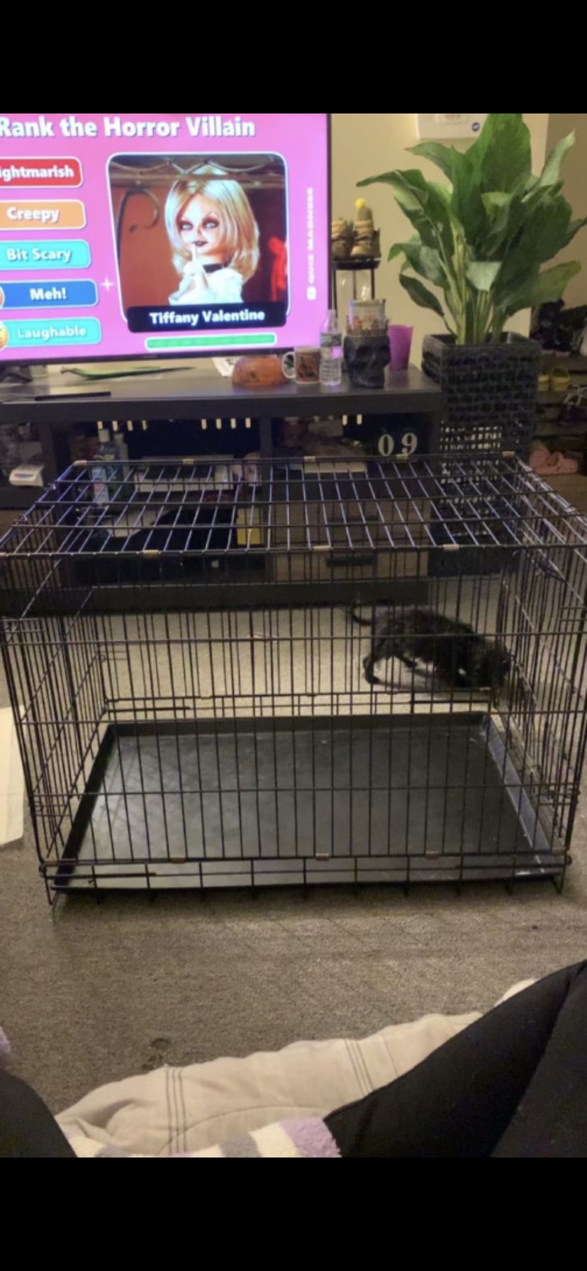 Black Medium Dog Crate