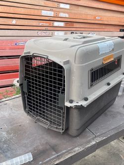 Good condition different sizes pet carriers