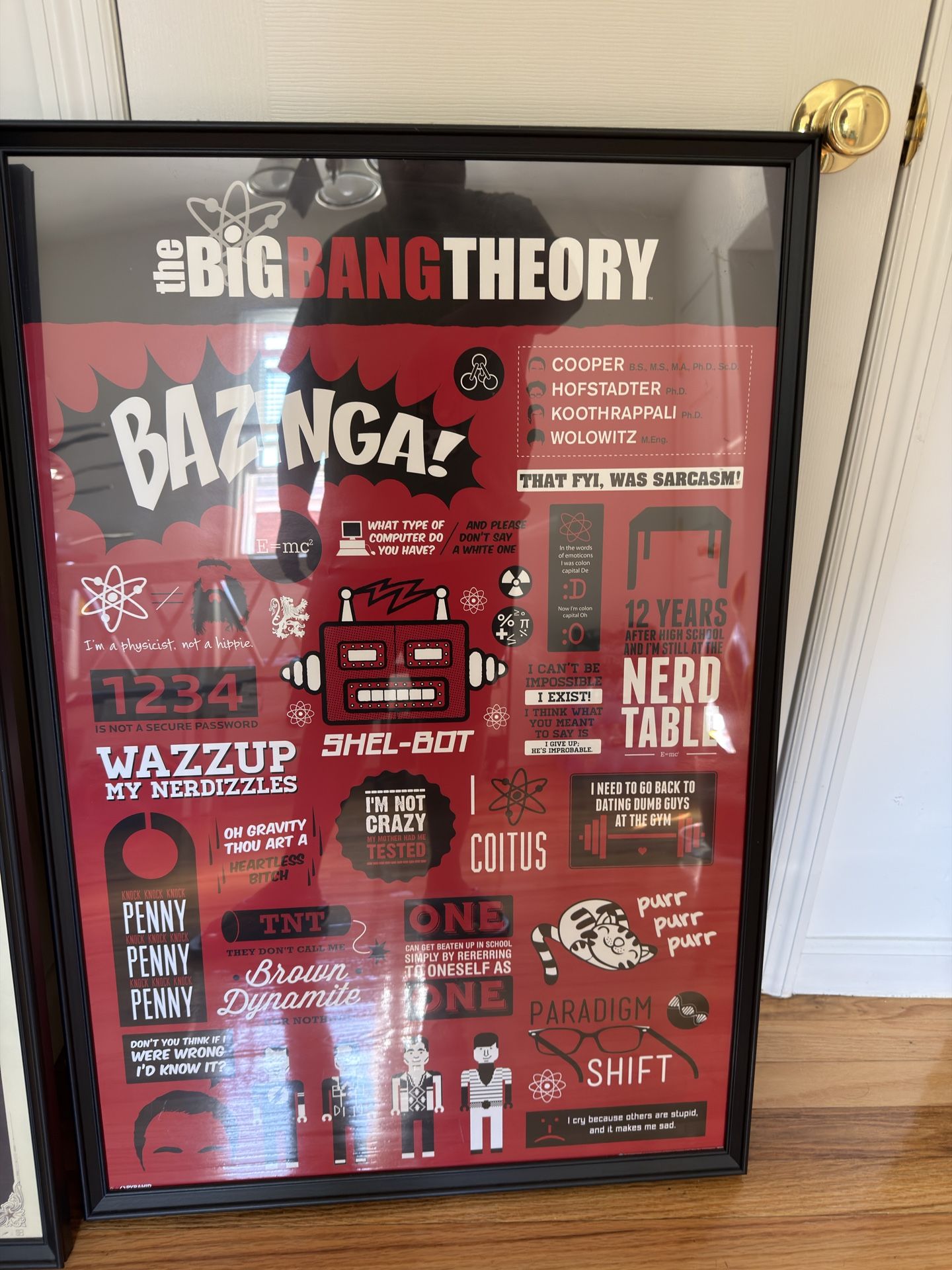 Framed Wall Art Collection – Spices, Friends, Big Bang Theory, Beer Styles 