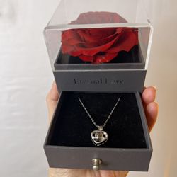 Last-Minute Valentines Gift! Real Rose Gift Box With Sterling Silver Necklace