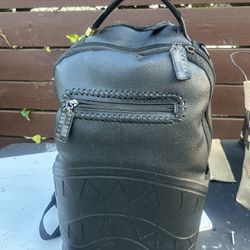 Bag /spray Gun 