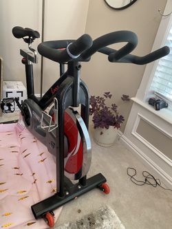Exercise Bike, Sunny Tree