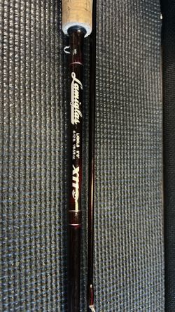 Fishing rod plus reel
