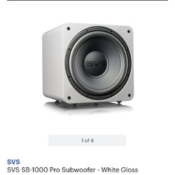SVS Home Subwoofer