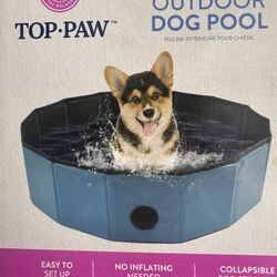Dog Pool