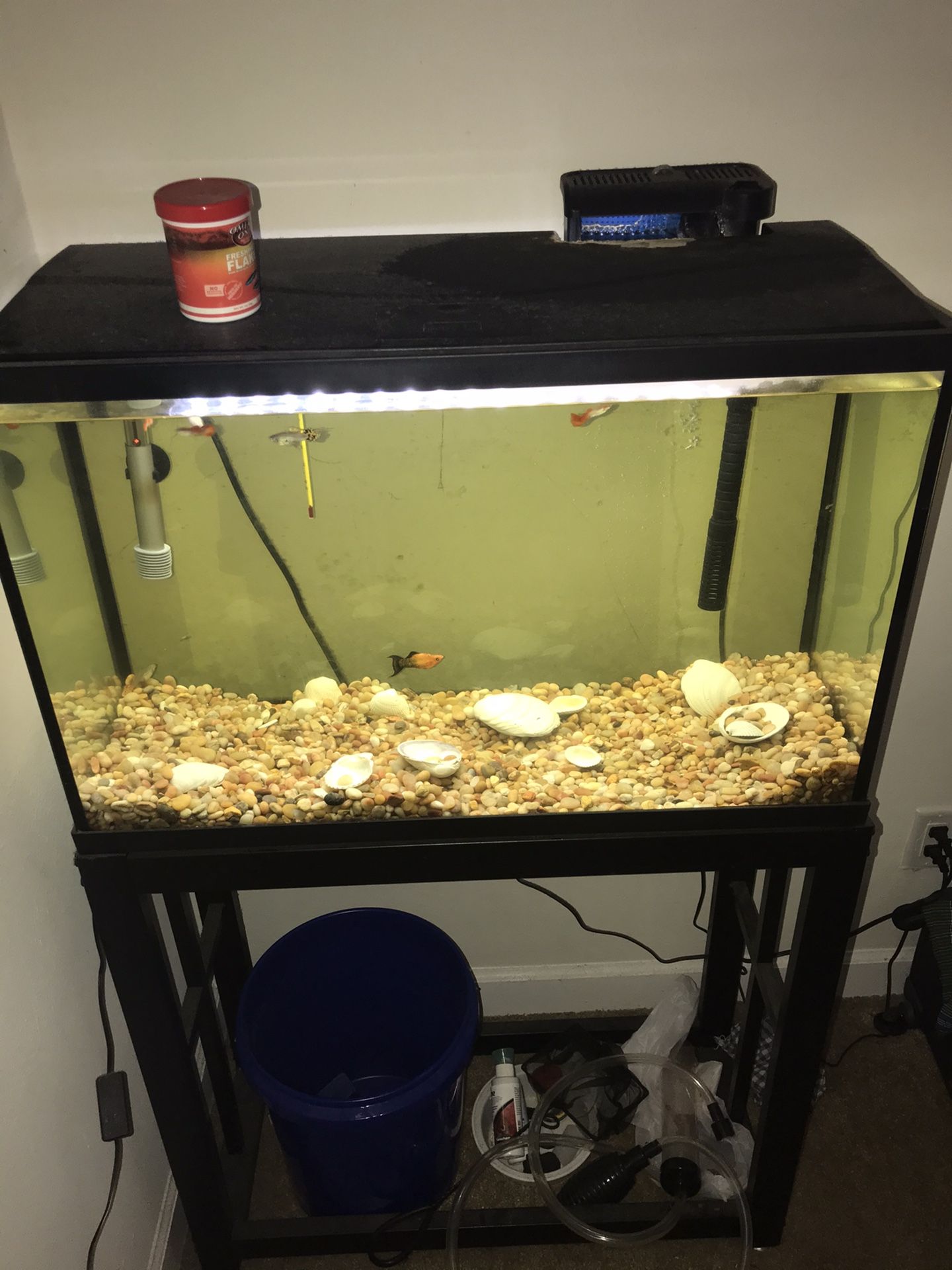 29 Gallon Fish Tank With Supplies 
