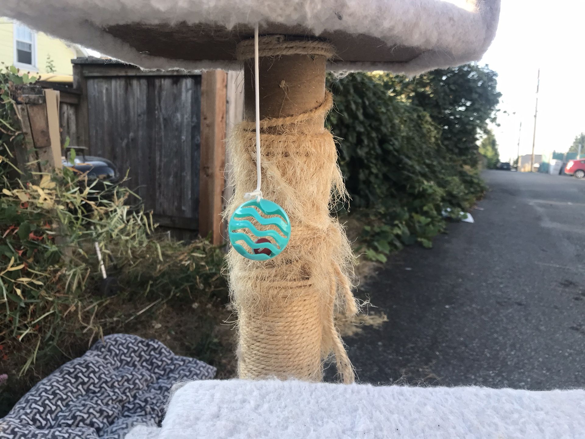 Cat Tower for Sale in Everett, WA OfferUp