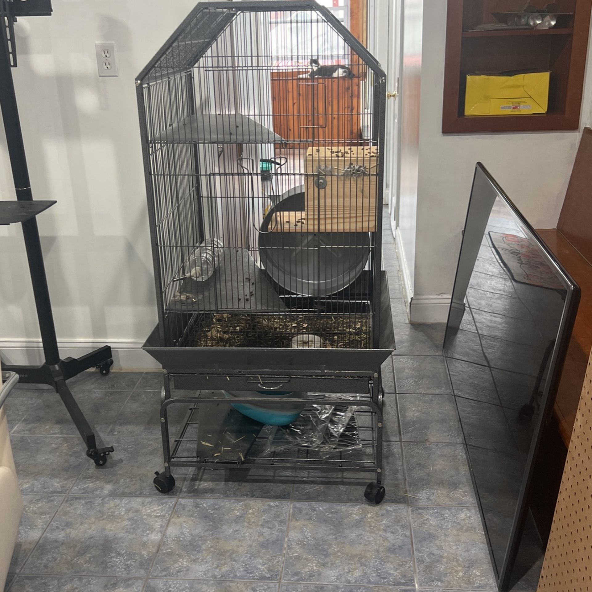 Guinea Pig cage
