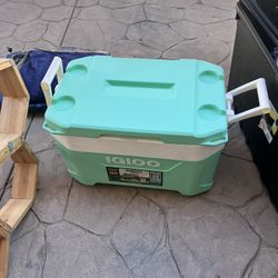 Igloo Cooler - Teal