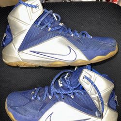 Size 9.5 - Nike LeBron 12 What If?