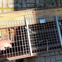 Animal Pen 