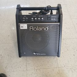 Roland Amplifier PM100