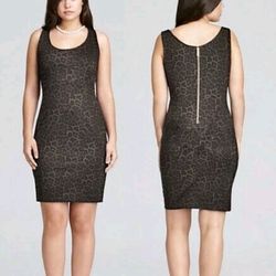 Michael Michael Kors Women Leopard Print Sleeveless Shift Dress Size 4