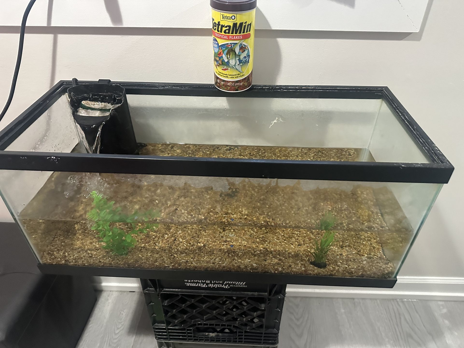 20gall Long Fish Tank 