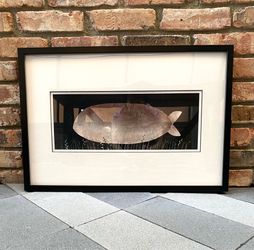 Jon Klassen Framed Giclée Art Print - Big Fish "This Is Not My Hat"