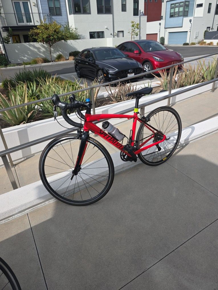 Specialized 44 Road Bike