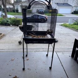 Bird Parrot Or Parakeet Cage