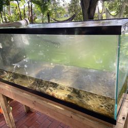 55 Gallon Drilled Aquarium