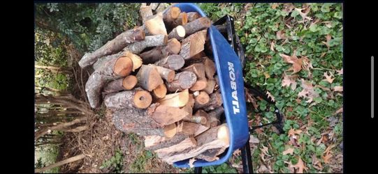 Big Wheelbarrow Of Firewood