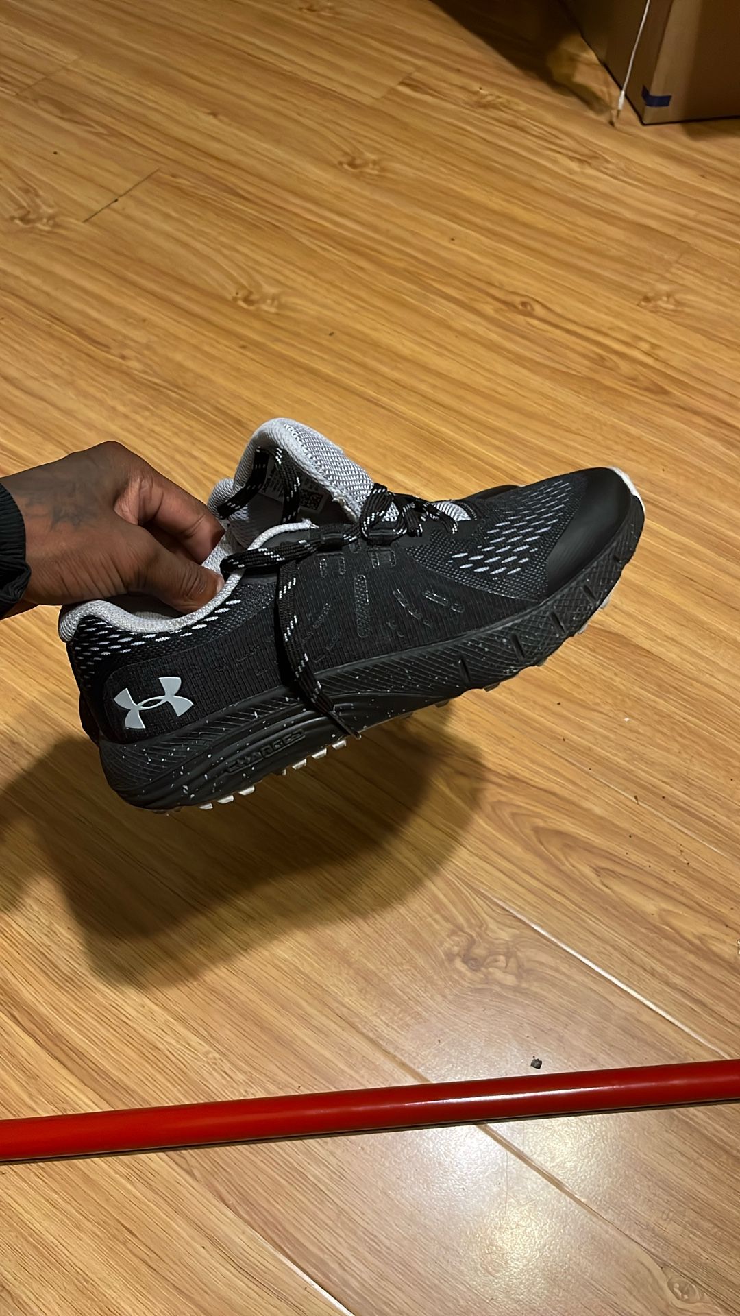 Hs