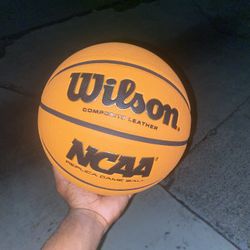 Wilson NCAA Evo NXT Replica 