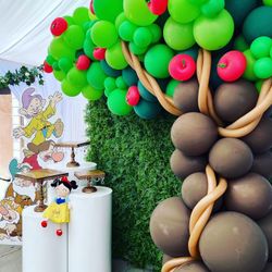 Snow White Backdrop ✨