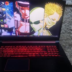 Acer nitro 5 (read description)