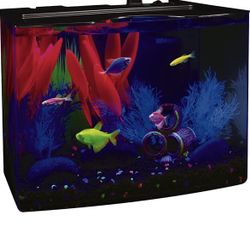 GloFish Crescent aquarium Kit 3 Gallons