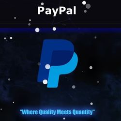 PayPal Log 
