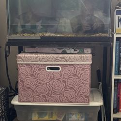 29 Gallon Fish Tank & Stand