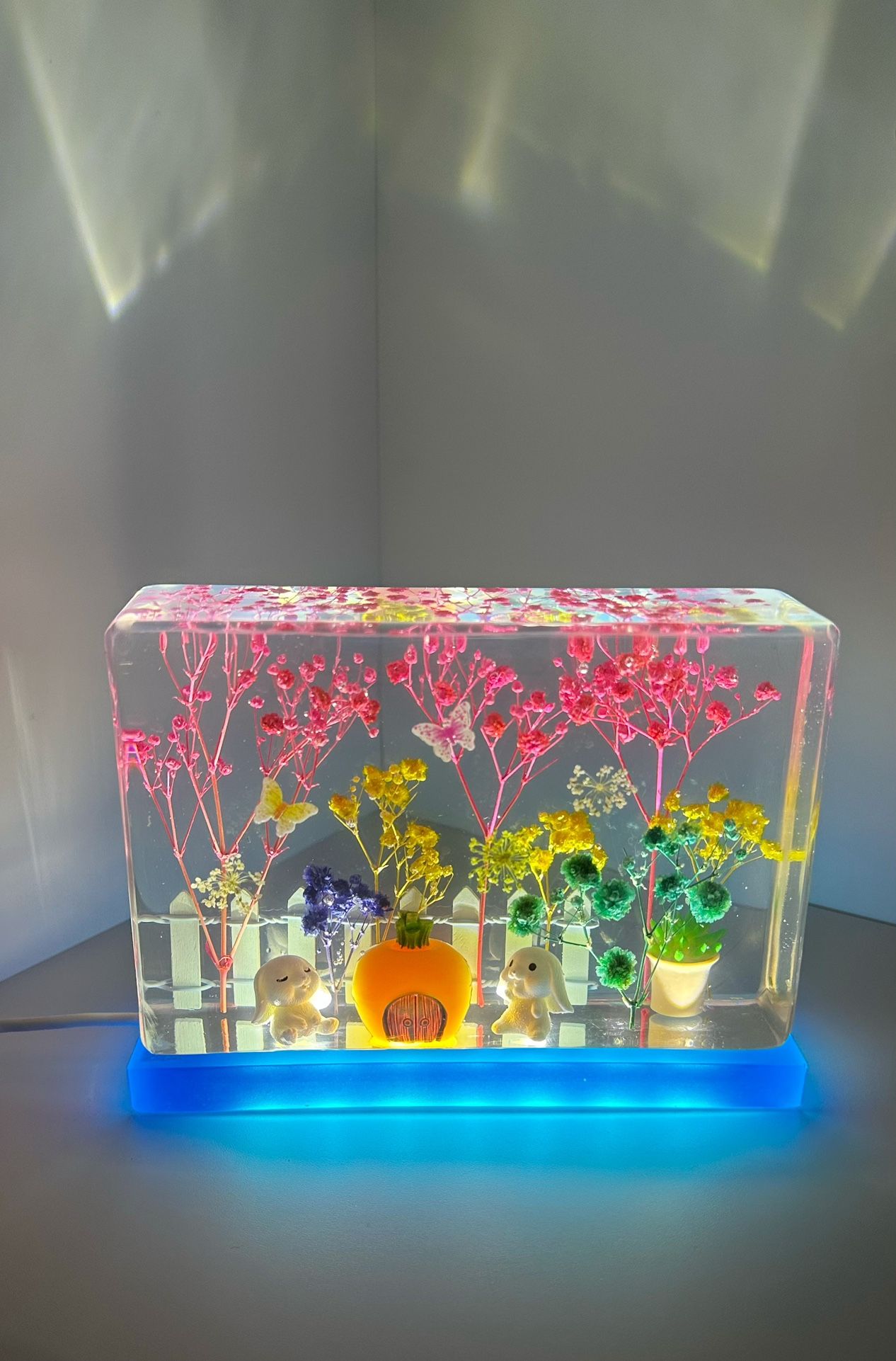 Handmade Natural Dried Flower Resin Night lamp