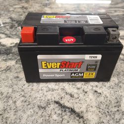 Ever Start Battery