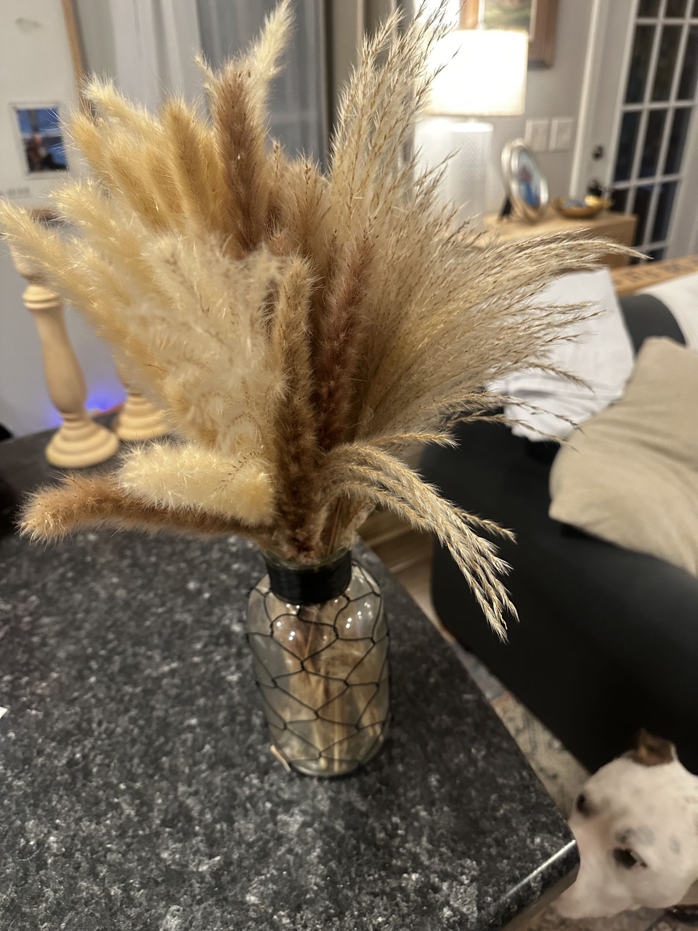 Vase & pampas Grass