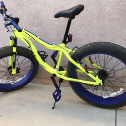 DK - Fat Tire mountain bike 