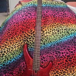 Bass Guitar