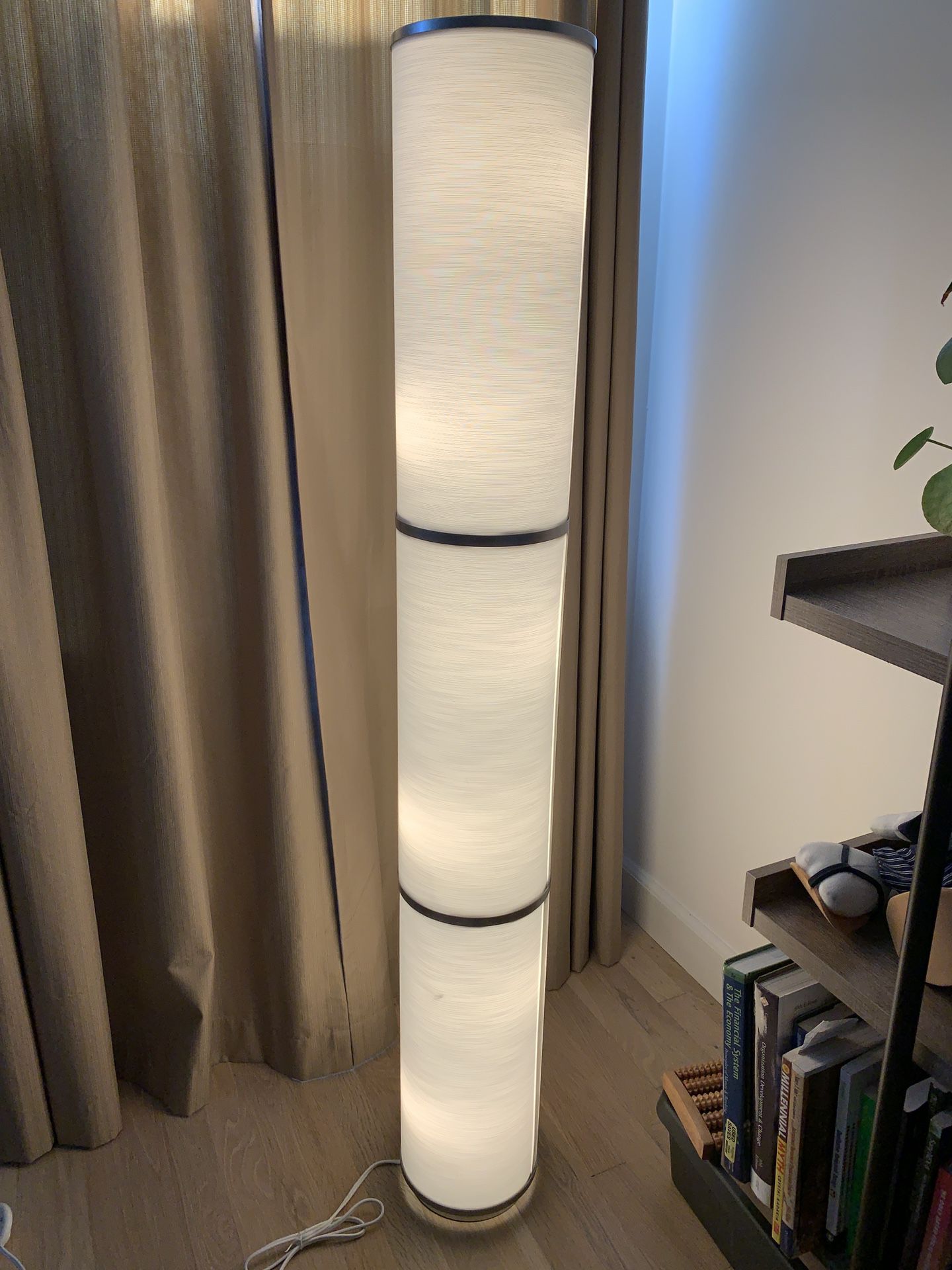 Beautiful LED Floor Lamp