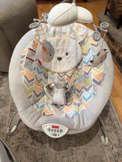 Fisher Price Sweet Dreams Snugapuppy Deluxe Bouncer