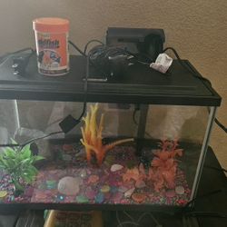 Fish Tank 5gallons 
