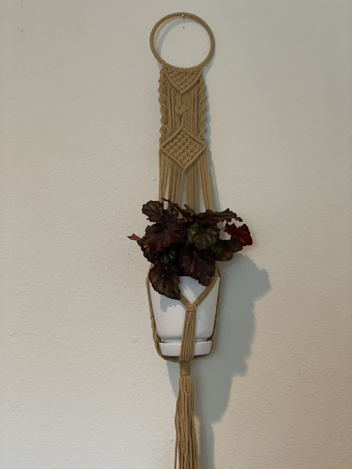 Macrame Hanger With Plant