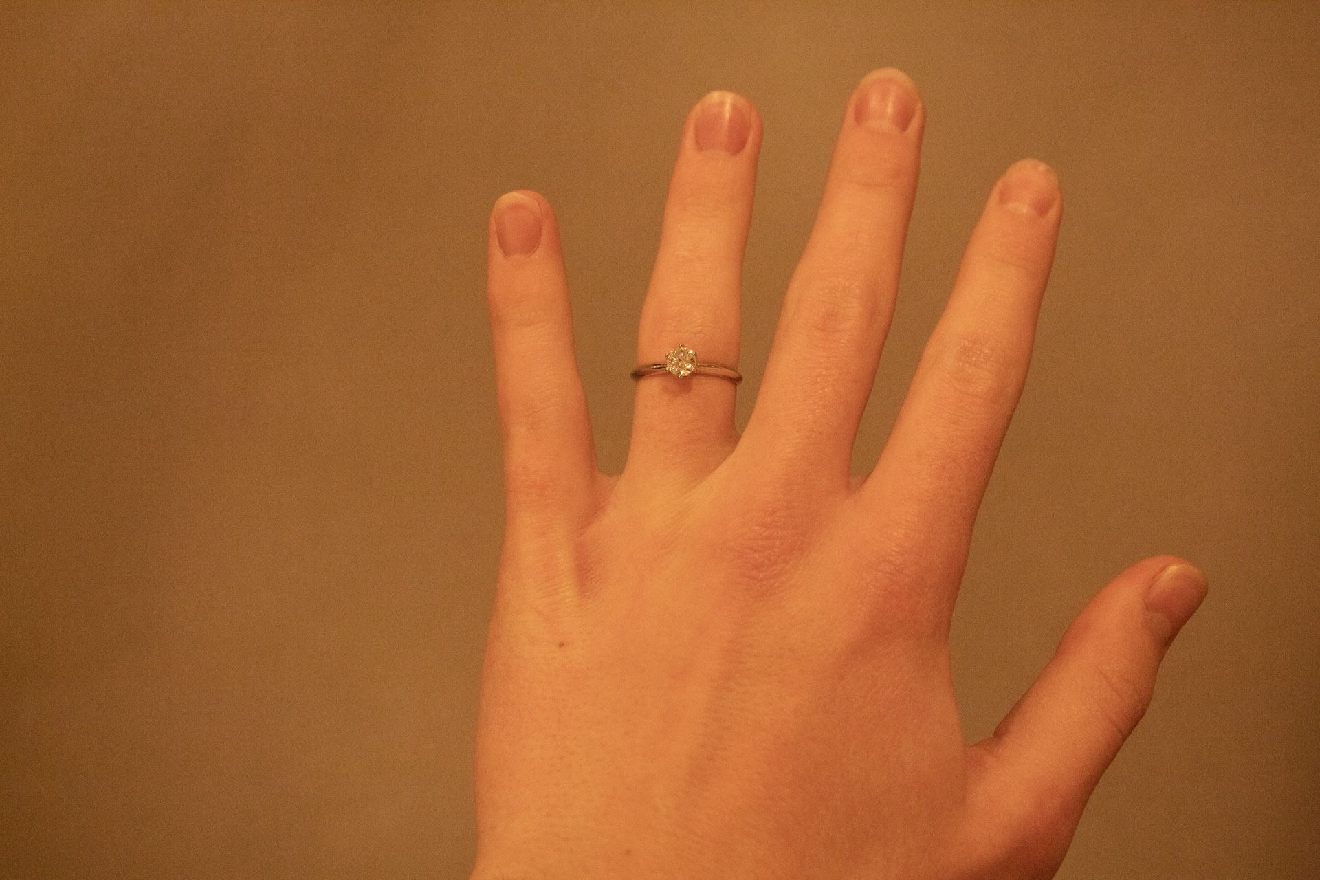 Moissanite Engagement Ring