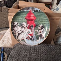 This Is A Collection Plate. On The Plate Said Splash Patrol. The Date 1992