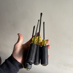 Klein Screwdrivers Flat And Philips 