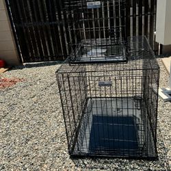 Large Dog Cage