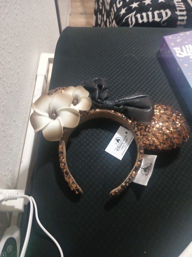 Minnie Mouse Ears 25