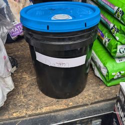 Dawn Tide Gain Buckets 