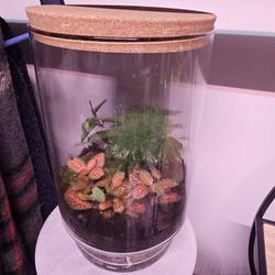 Terrarium