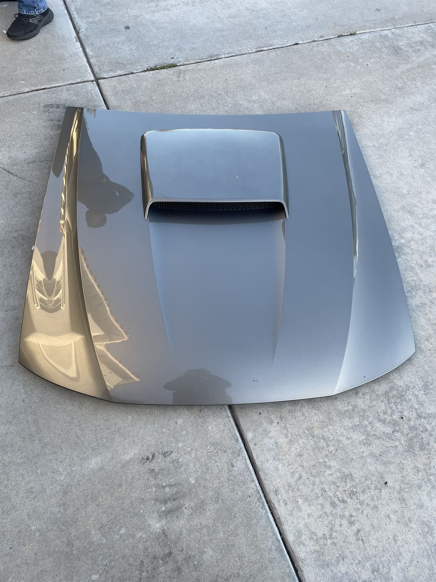 2001 Mustang Gt Hood