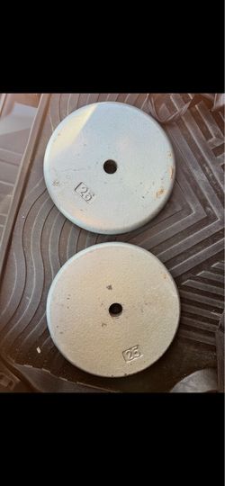 Two 25 lb weights