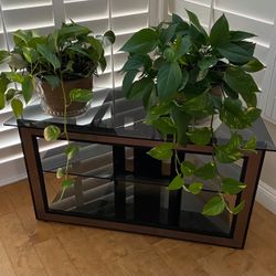 Tv Table w/glass Shelves 